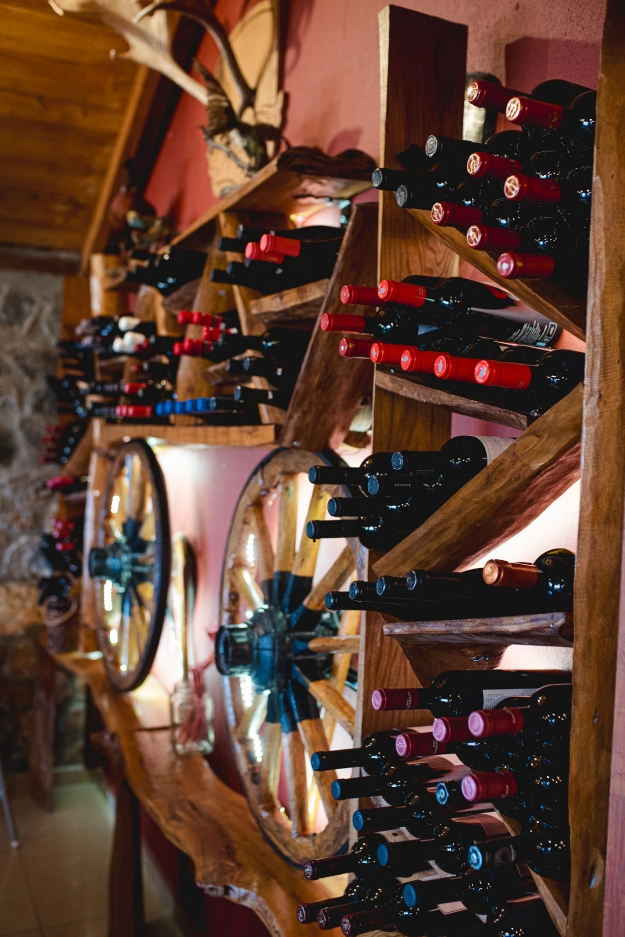 voras-gefsis-13.jpg?v=0