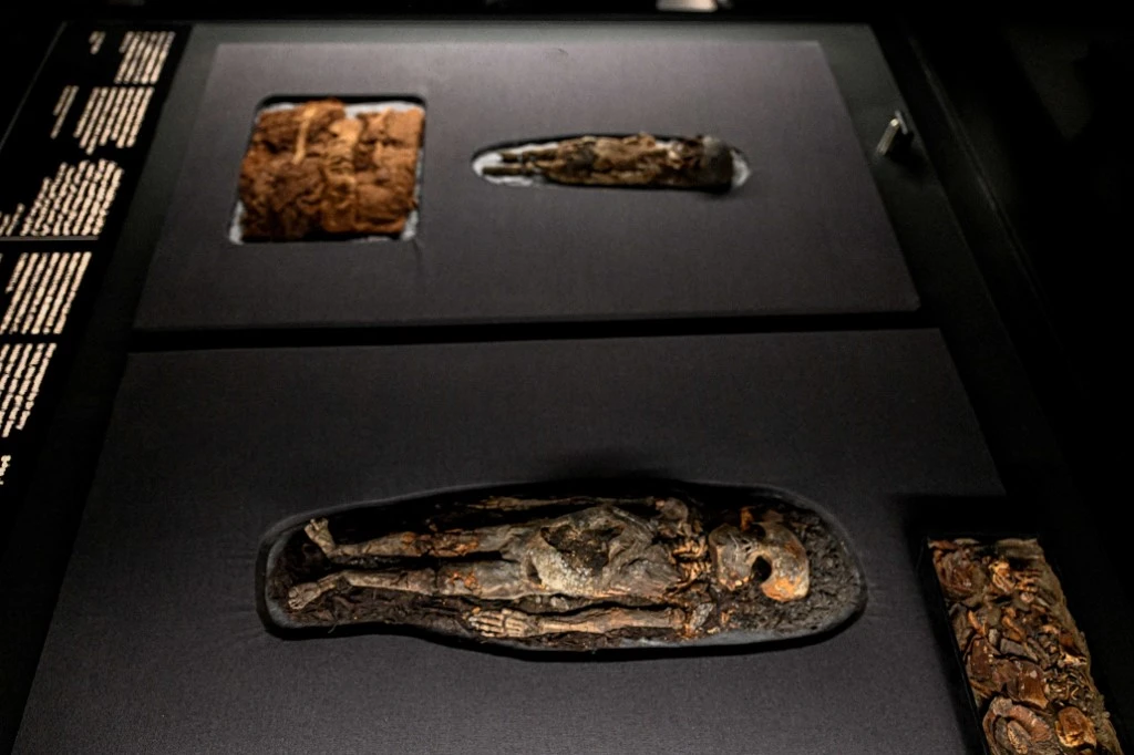 kairo-mouseio-thisavroi-toutanxamon.jpg