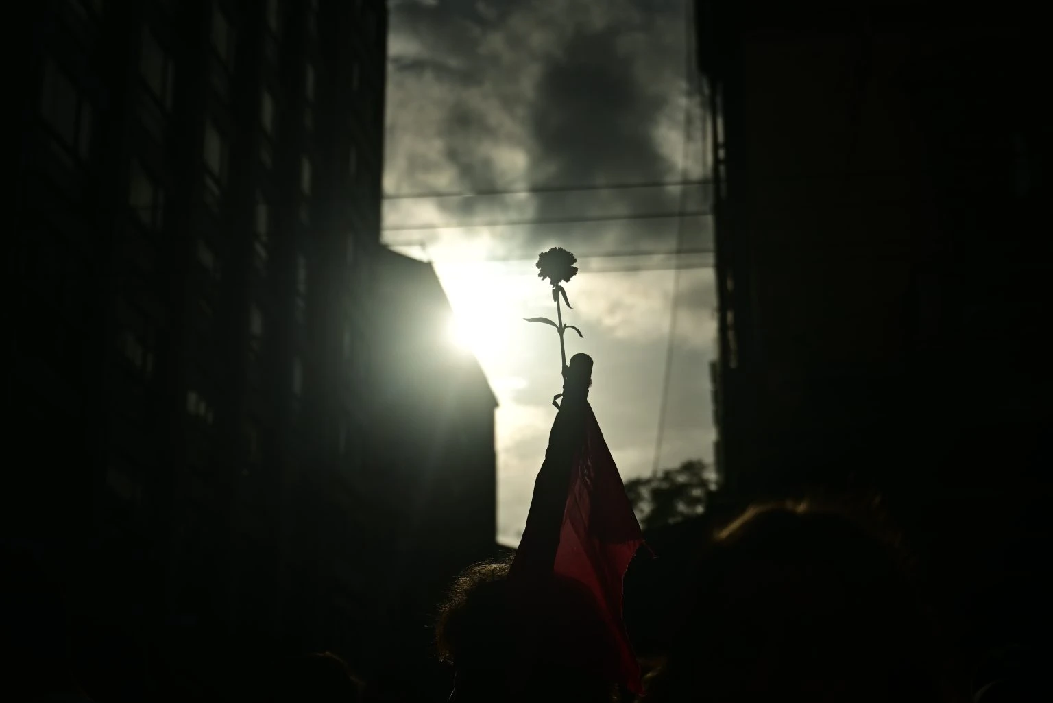 6738718-1536x1025.jpg?v=0