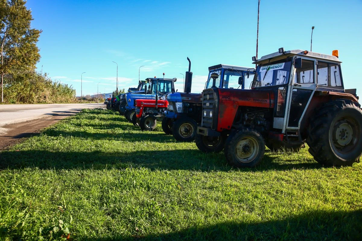 Εικόνα από τον Ορχομενό - Eurokinissi.gr