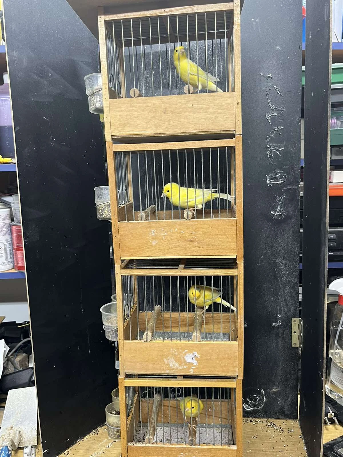 img-d972ab25c498572644b9bc985840fe33-v.jpg?v=0