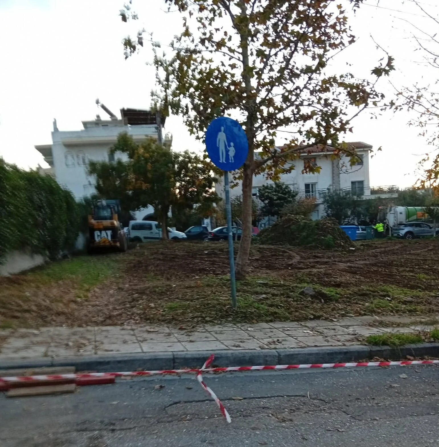 parko-tsepis-triandria-2.jpeg?v=0