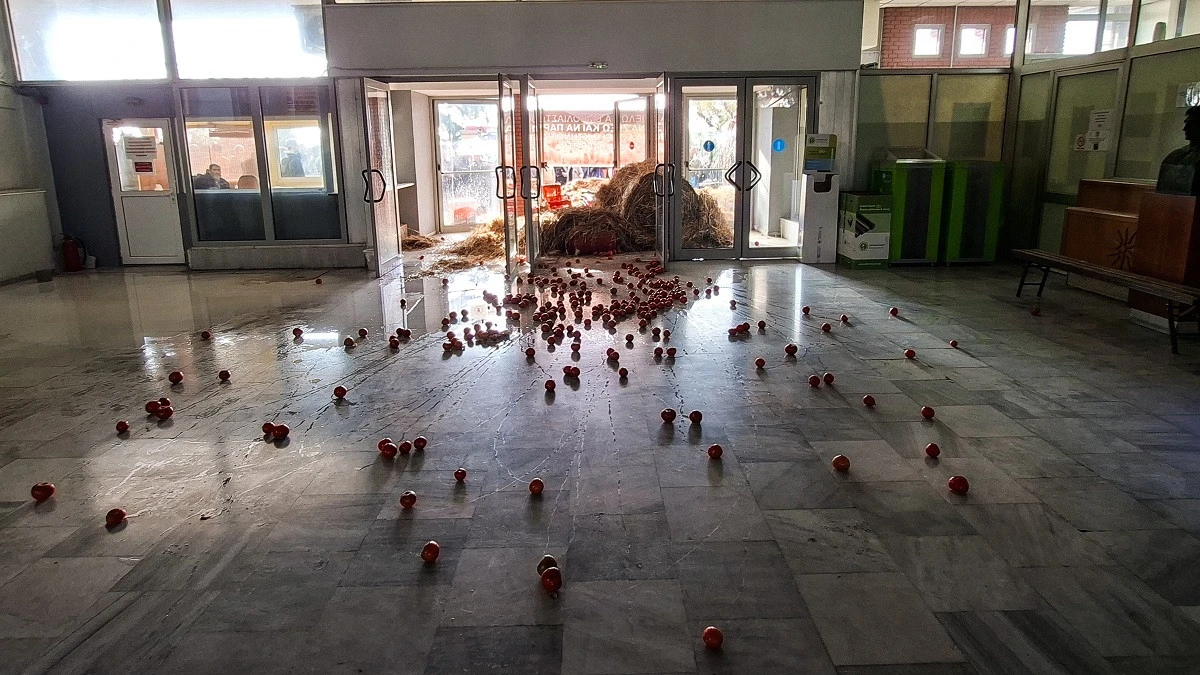 6774340.jpg
