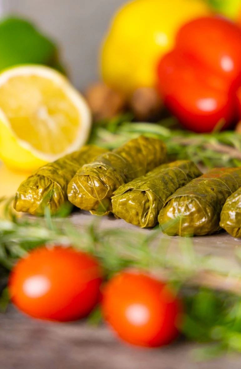 dimeatris-20.jpg?v=0