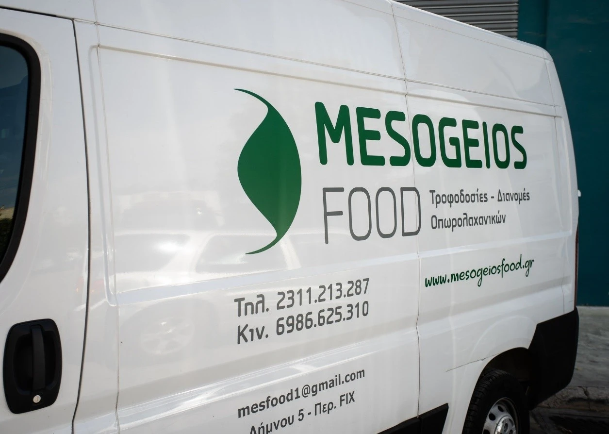 mesogeios-2.jpg?v=0
