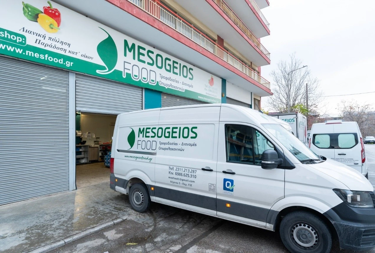 mesogeios-4.jpg?v=0