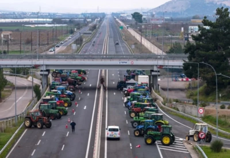 agrotes-Kz9pp.jpg?v=0