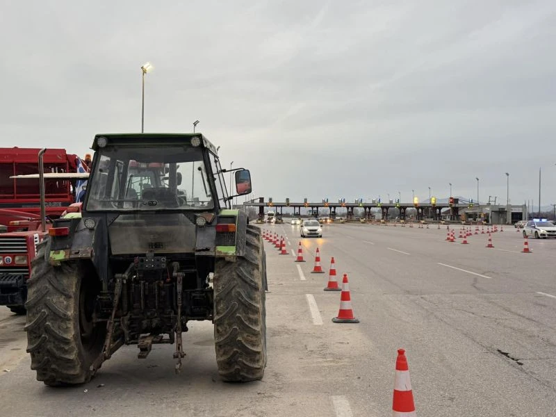 agrotes-mploka3.jpg