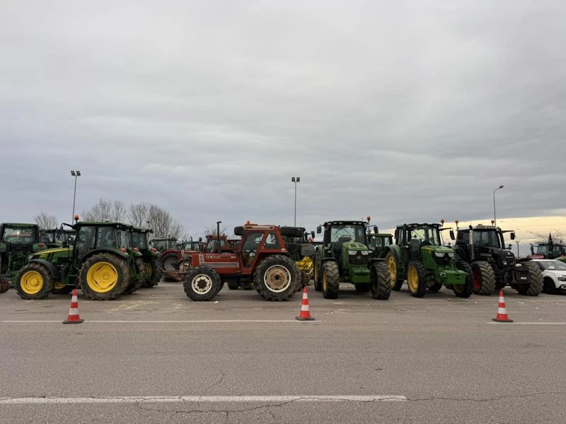 agrotes-mploka4.jpg