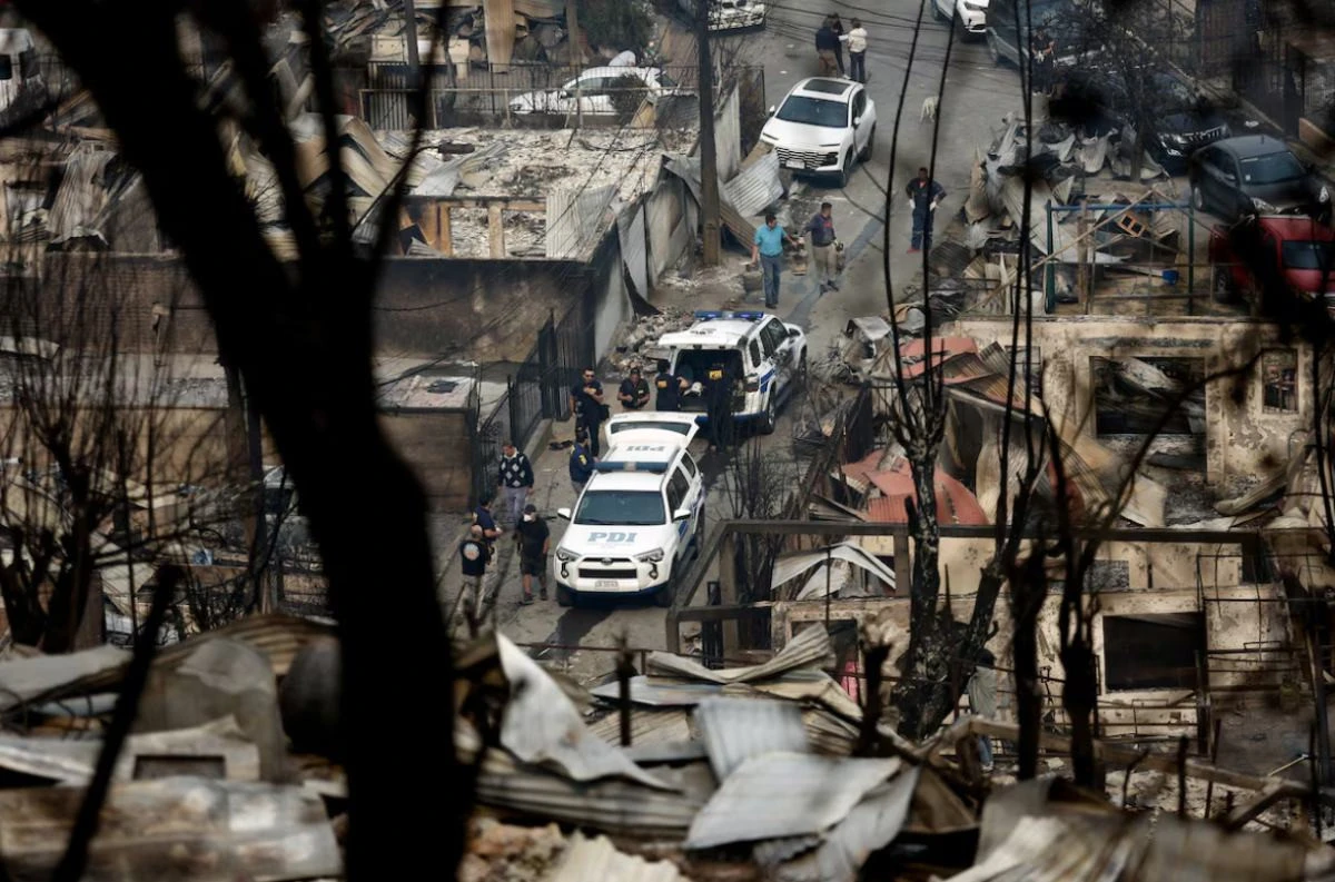 chile-pyrkagies3.jpg