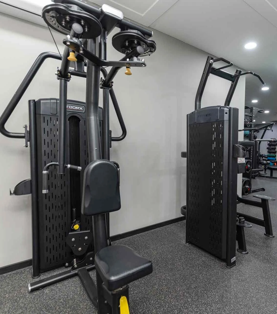 gymholics-3.jpg?v=0