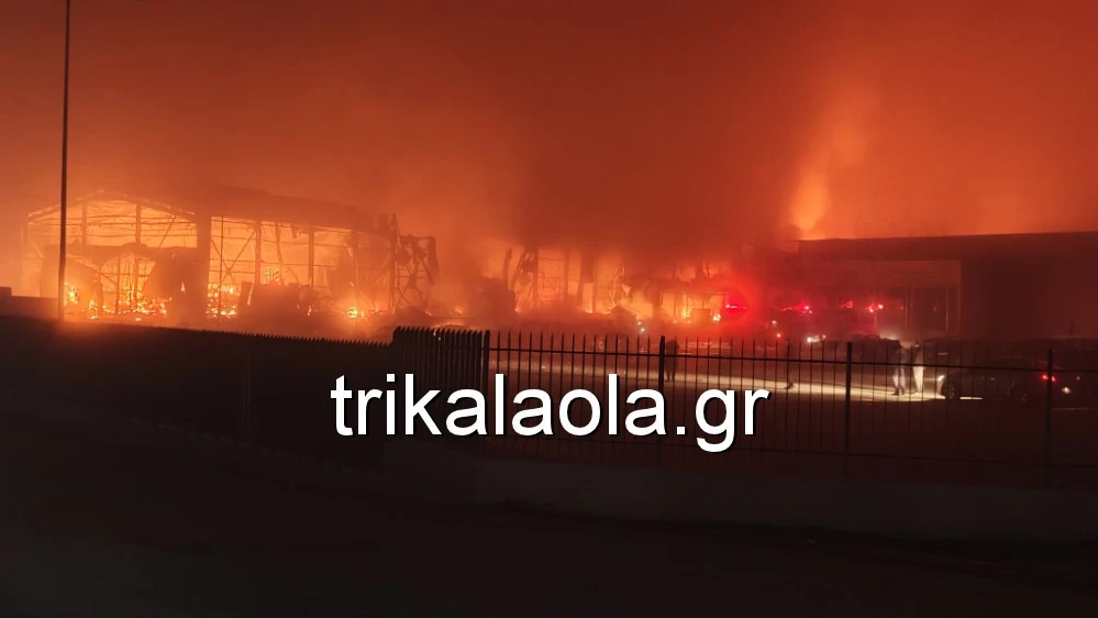 trikala-fotia-violanta-2.jpg?v=0