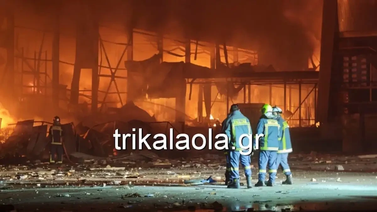 trikala-fotia-violanta.webp?v=0