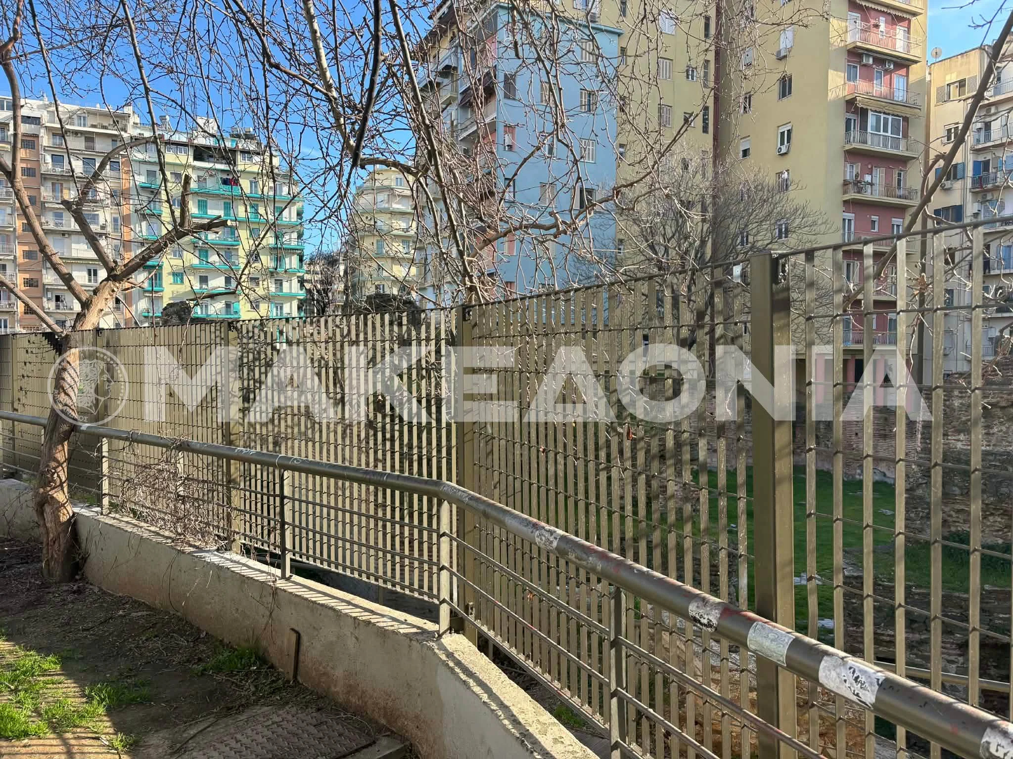 a6fc36fd-f893-4d74-aac0-2cc1ab8ac8e2.jpg?v=0