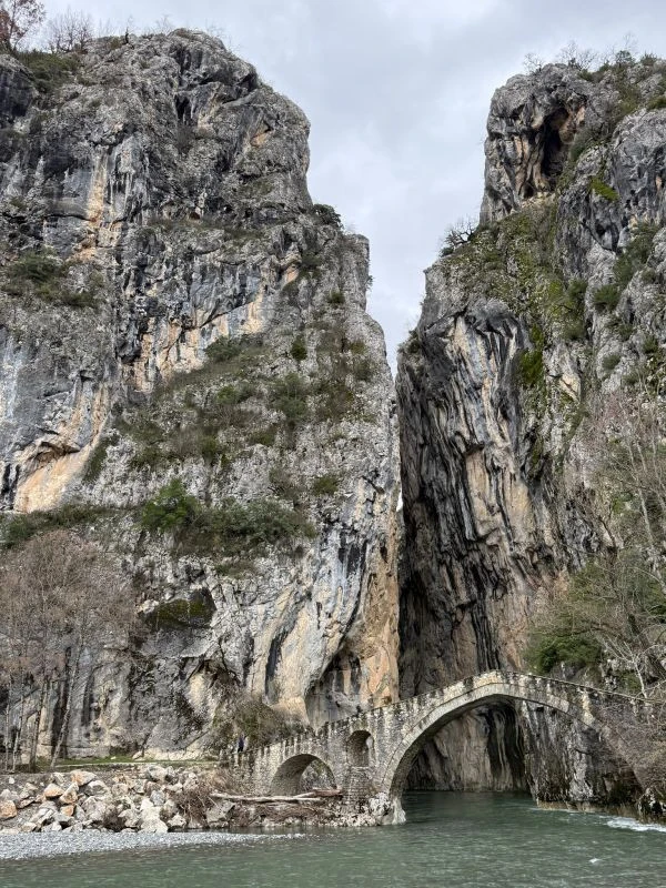 protypo-dasos-dytikis-makedonias004612026.jpg?v=0