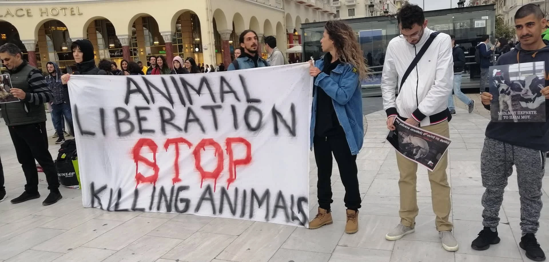 animals2.jpg