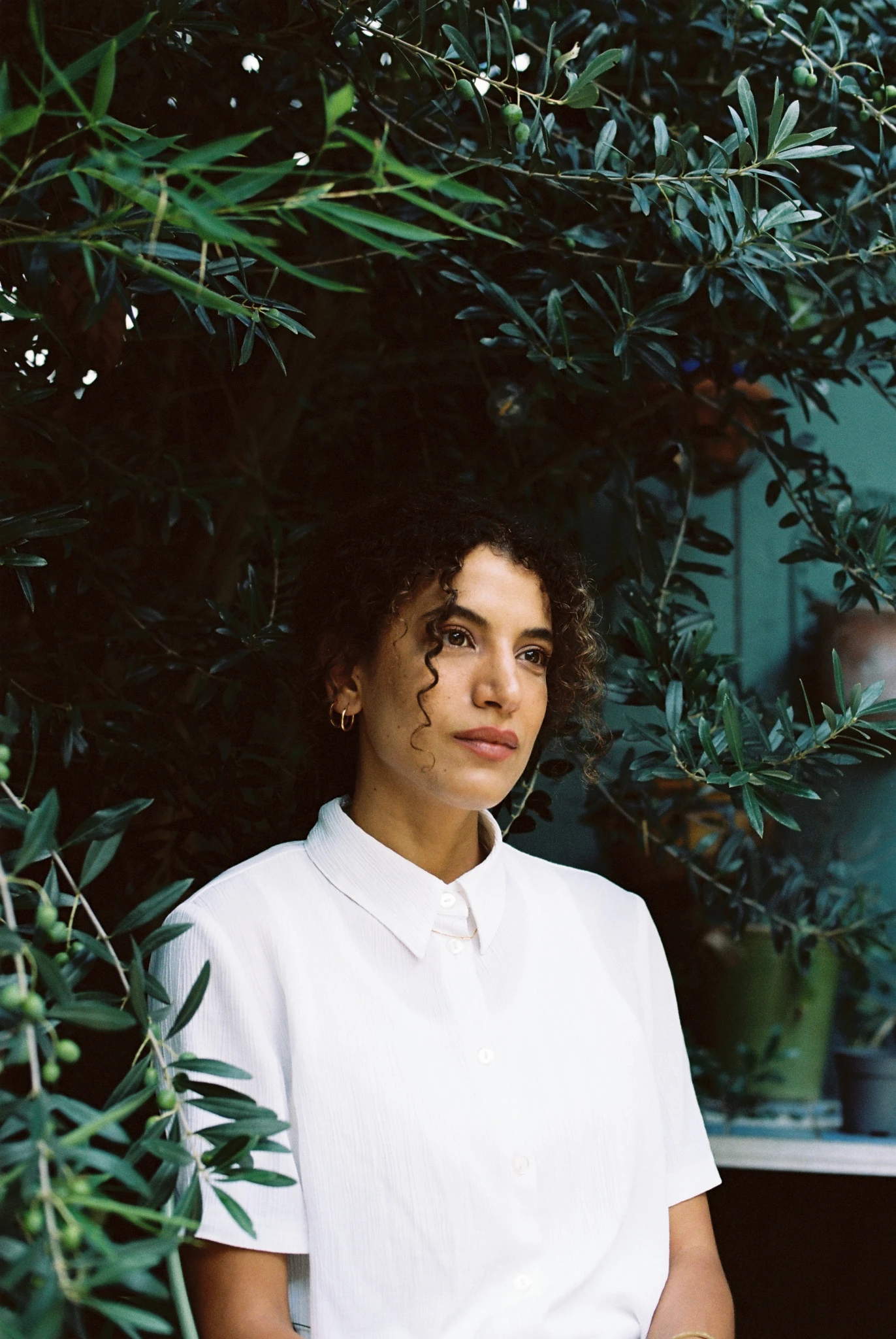 b003958-r1-20-20a.JPG?v=0