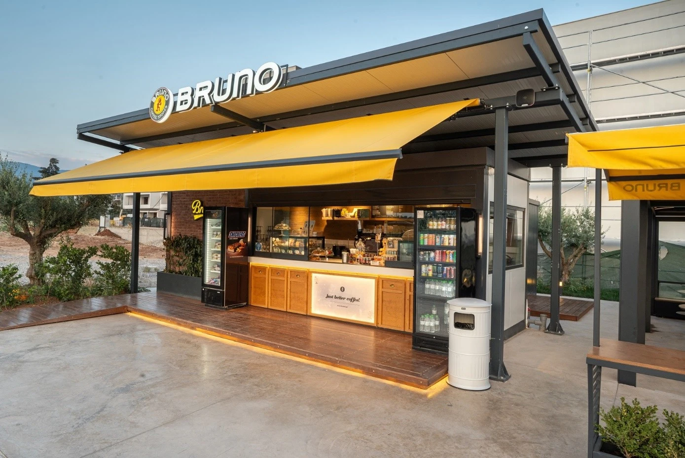 bruno-8.jpg?v=0