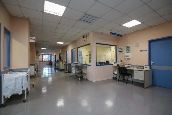 image1.jpg