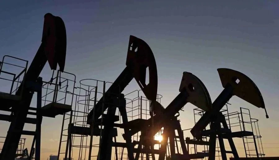 oil-petrelaio.jpg?v=0