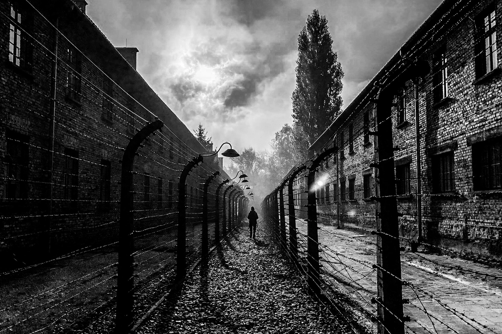 renee-revah-auschwitz.jpg?v=0