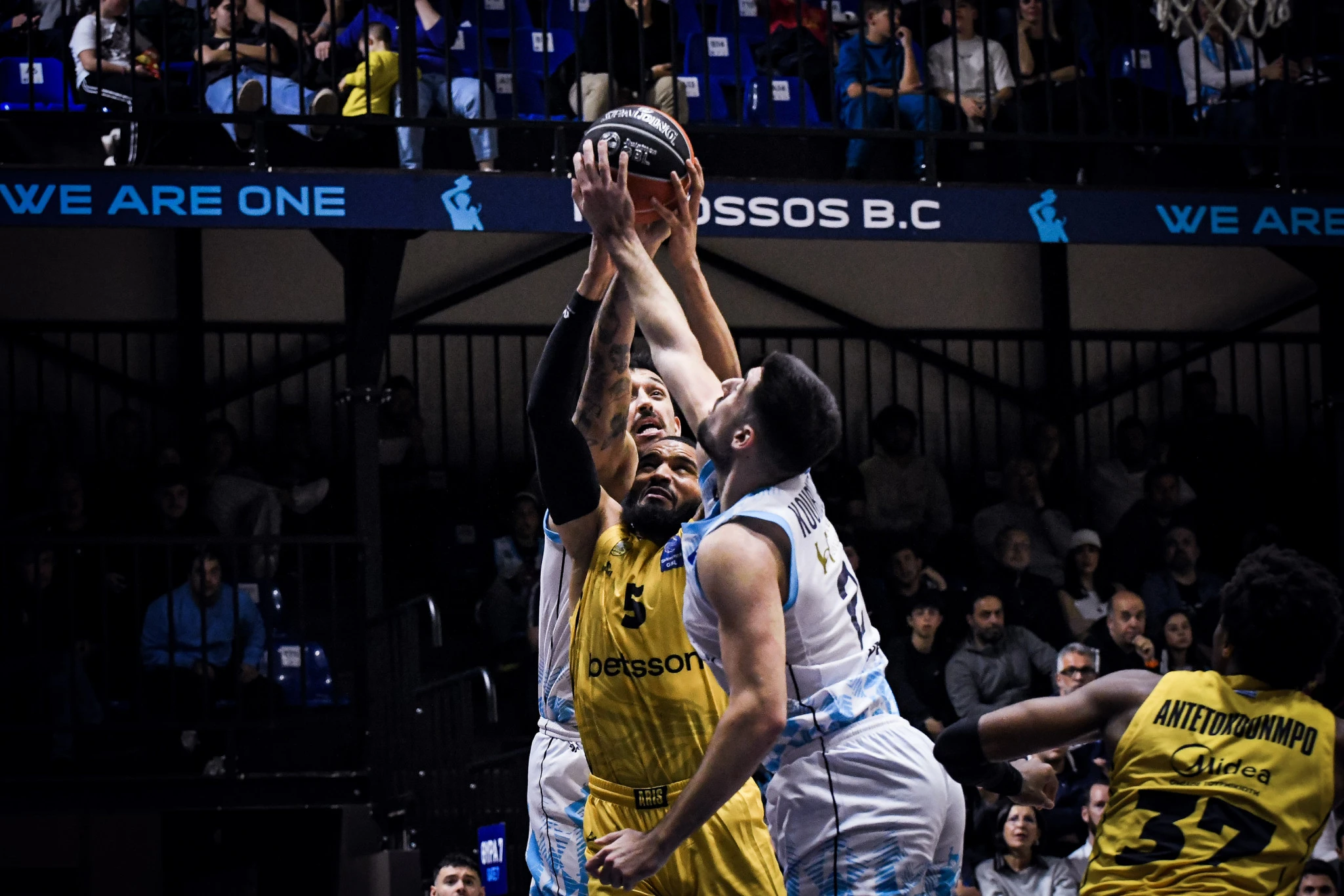 basket-kolossos-aris.jpg
