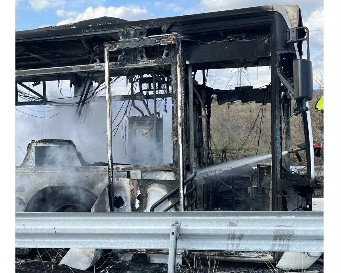 leoforeio-fotia.jpg?v=0