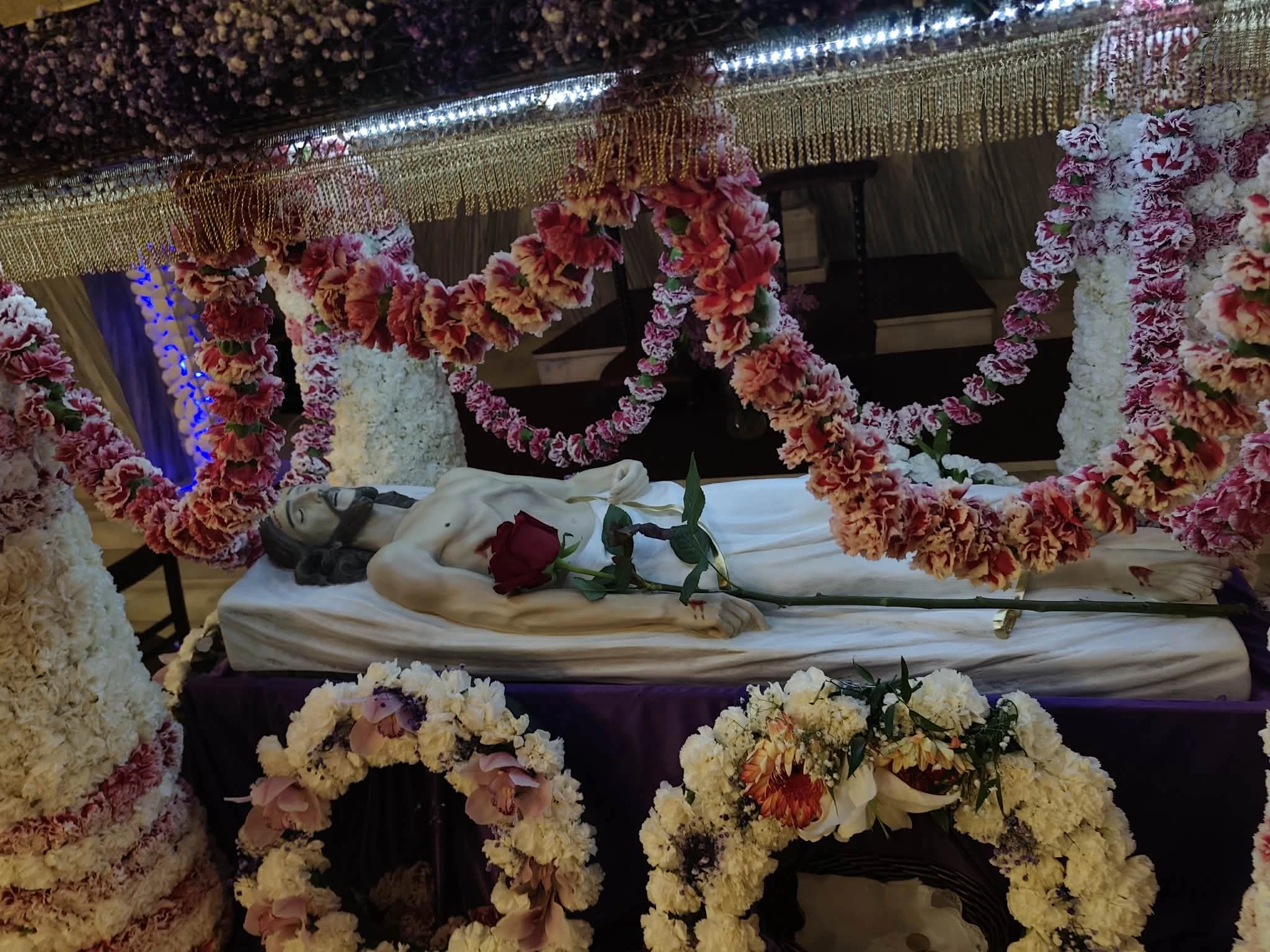 555559ae-99de-42c0-abaa-75de4d1fc9ce.jpg?v=0