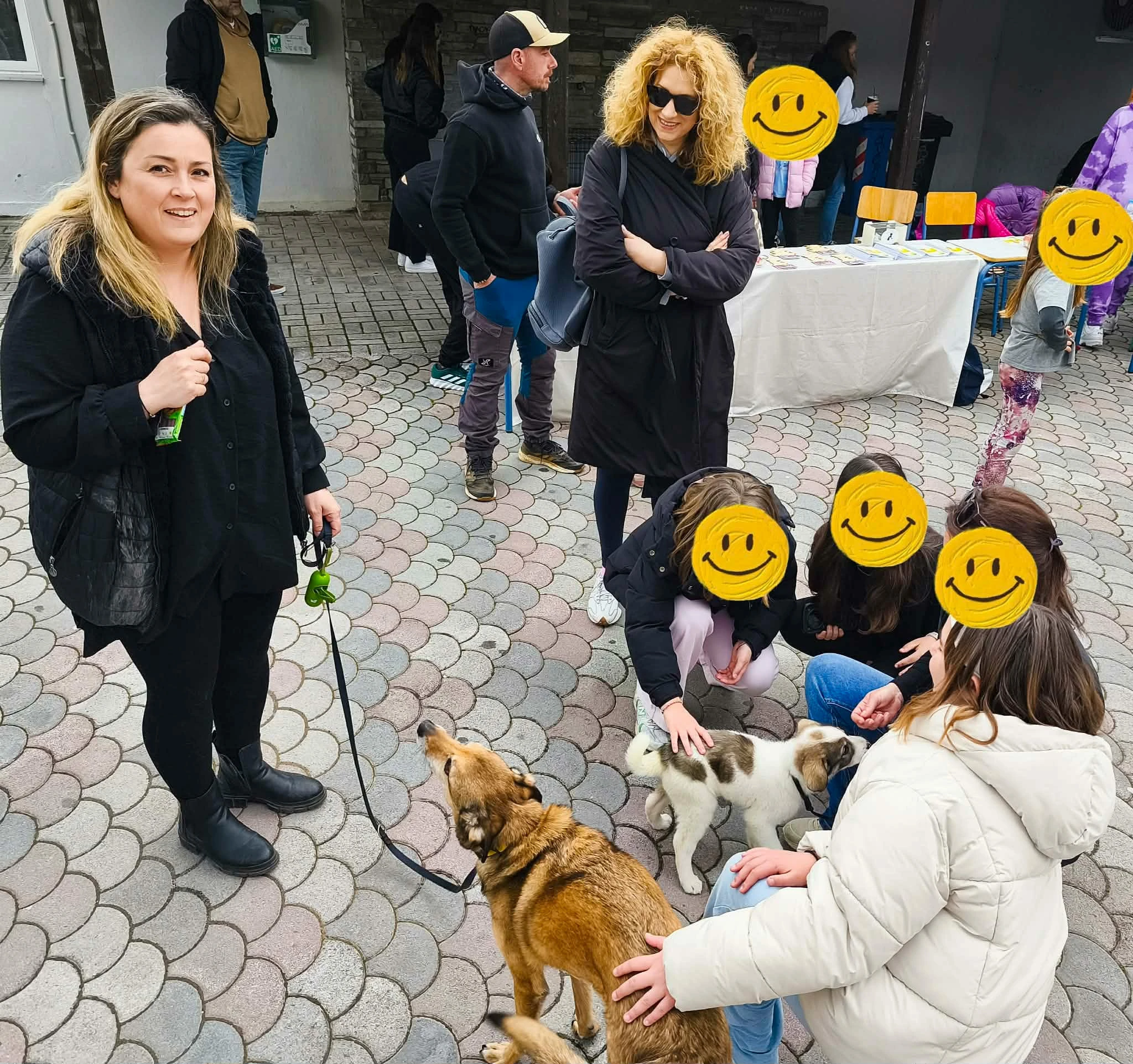 661008416-122268320594167901-4292651780360430037-n.jpg?v=0