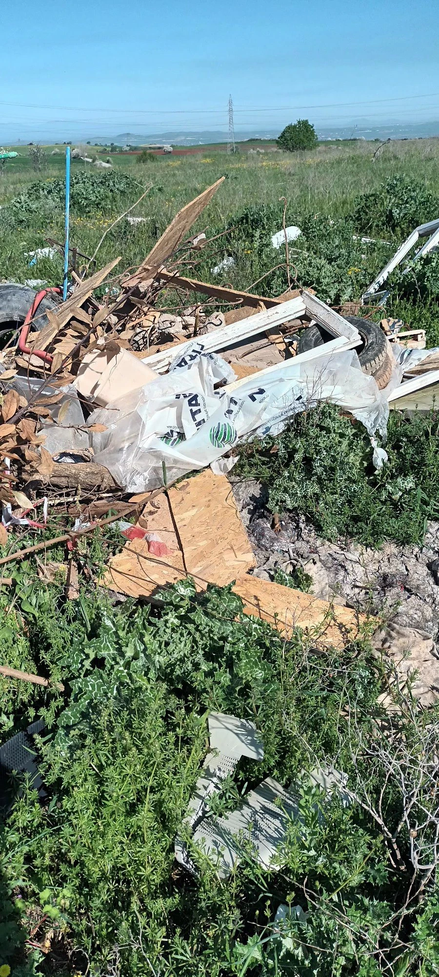 663242718-1383268087157603-795500621498630085-n.jpg?v=0