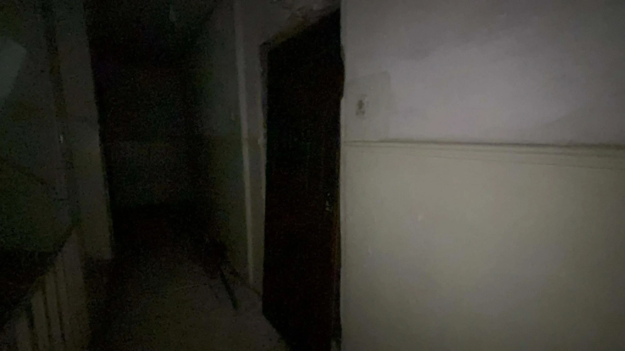 fotia-pelopos-3.jpg?v=0