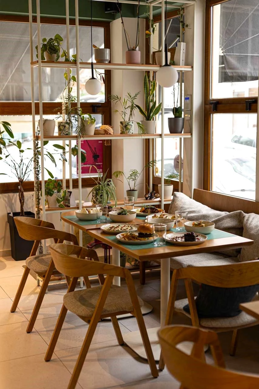 nifty-roots-2.jpg?v=0