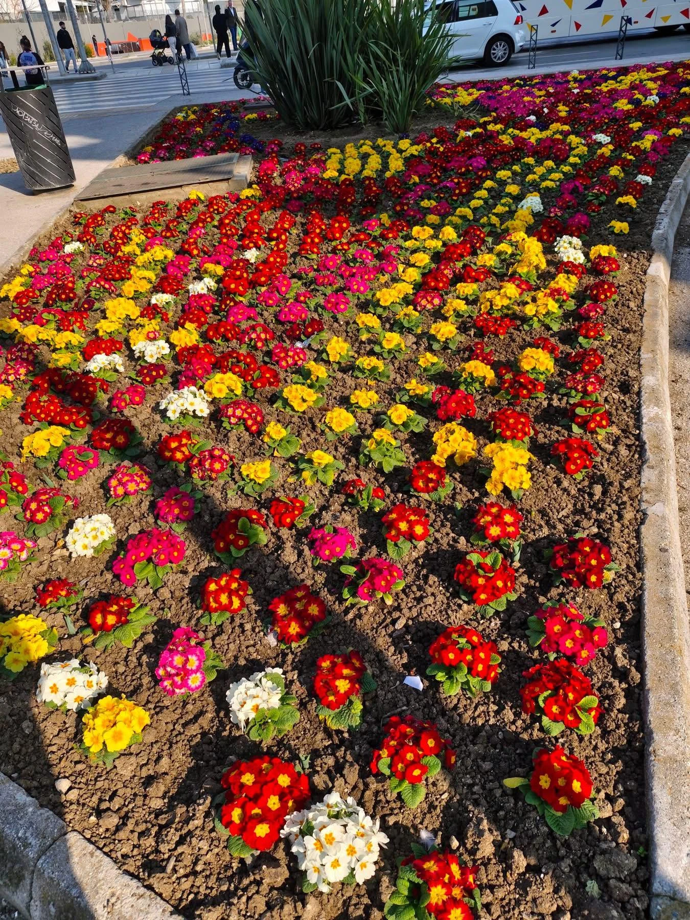 fytoria-syntrivani2.jpg?v=0