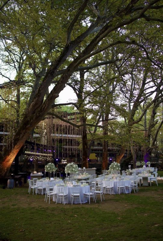 gamoi-touristes-ellada-synedrio-0401.jpg?v=0