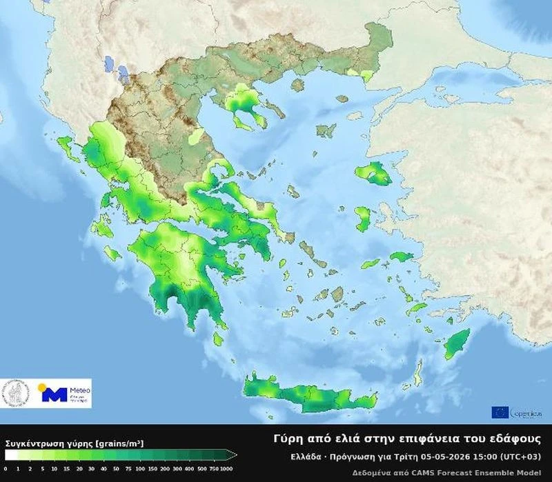 Χάρτης πρόγνωσης συγκεντρώσεων γύρης από ελιά για την Τρίτη 05 Μαϊου 2026 και 15:00 ώρα Ελλάδας.&nbsp;Meteo