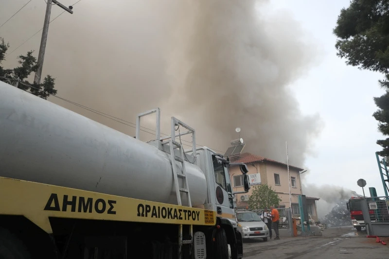 neoxorouda-pyrkagia1.jpg?v=0