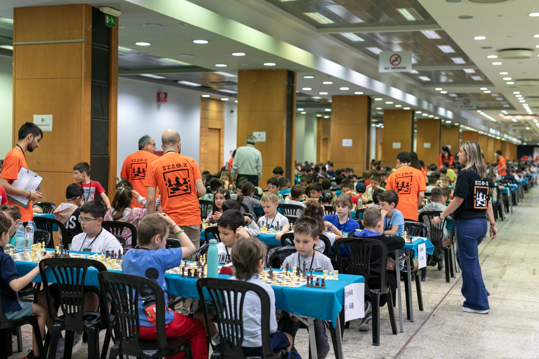 skakistiko-protathlima-3.jpg?v=0 skakistiko-protathlima-3.jpg?v=0