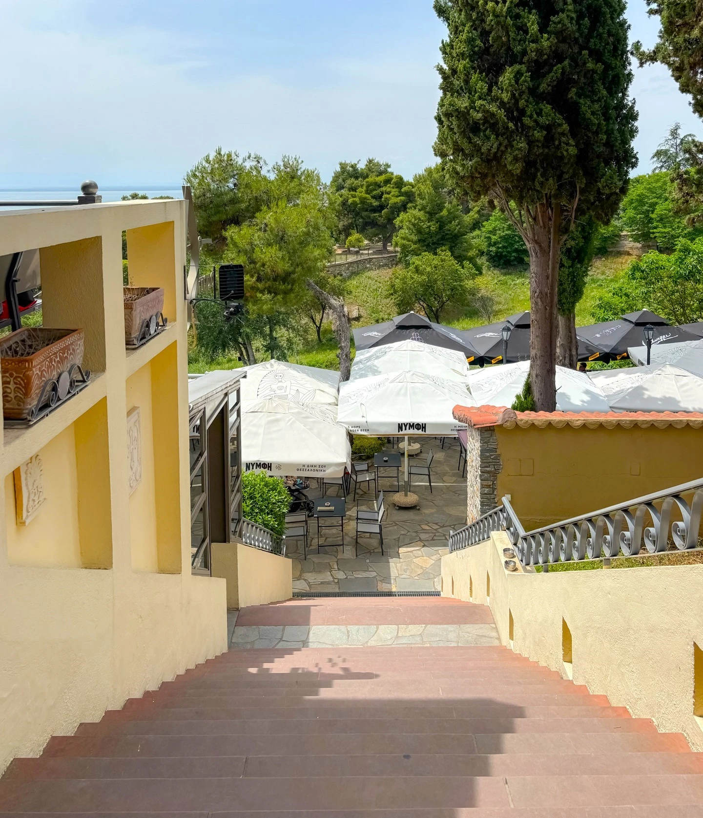 to-ktima-8.jpg?v=0