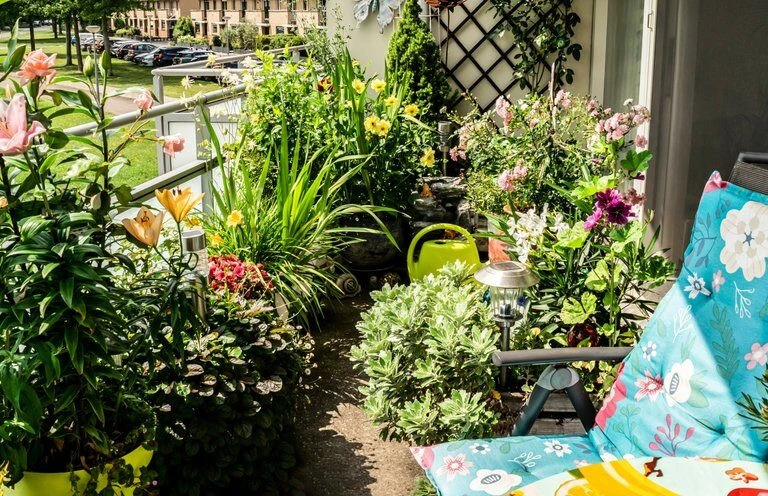 balcony-glastres-fyta-karekla-768x496.jpg?v=0