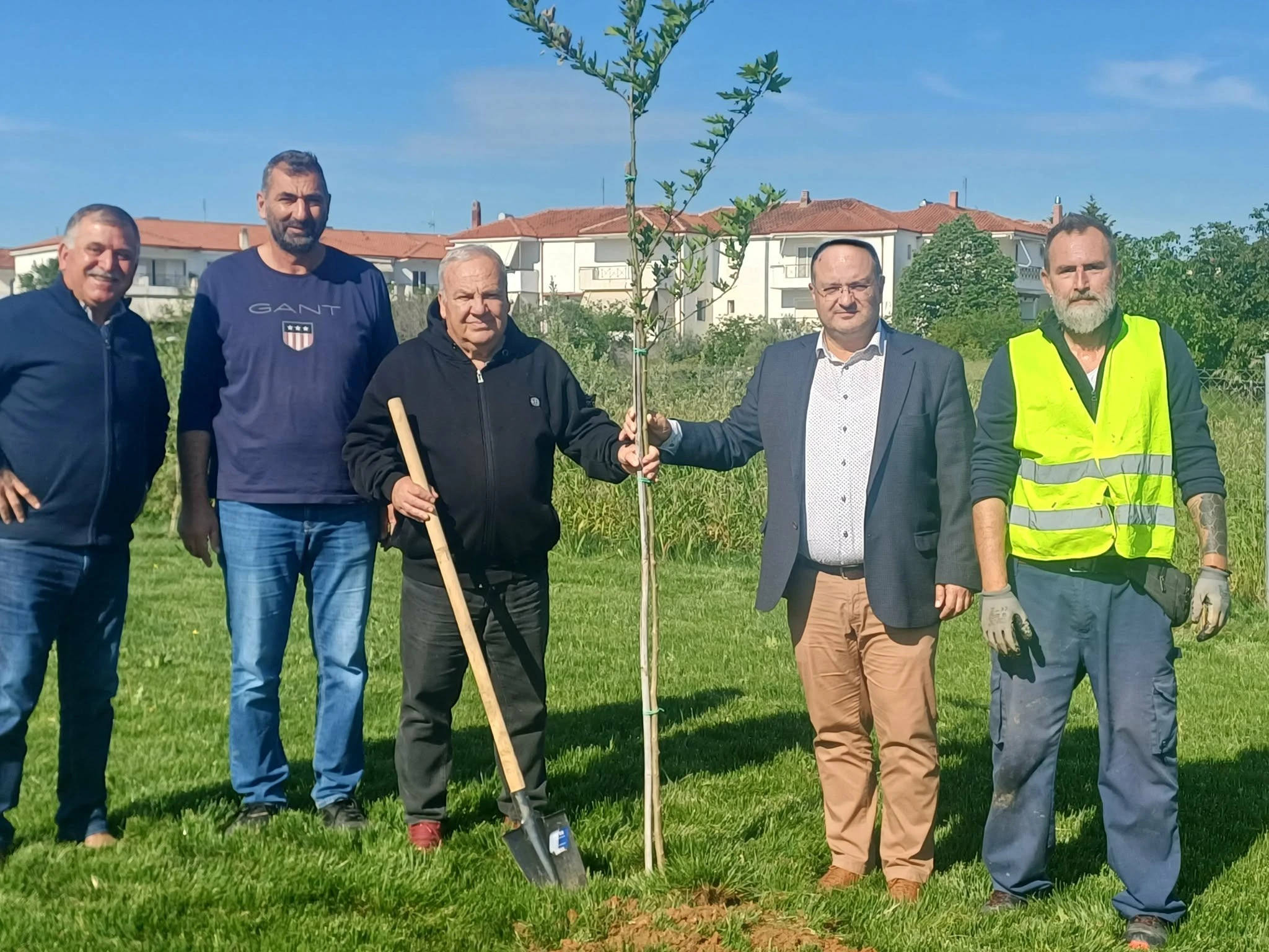 dendrofytefsi-sto-girokomio-kilkis-4.jpg?v=0