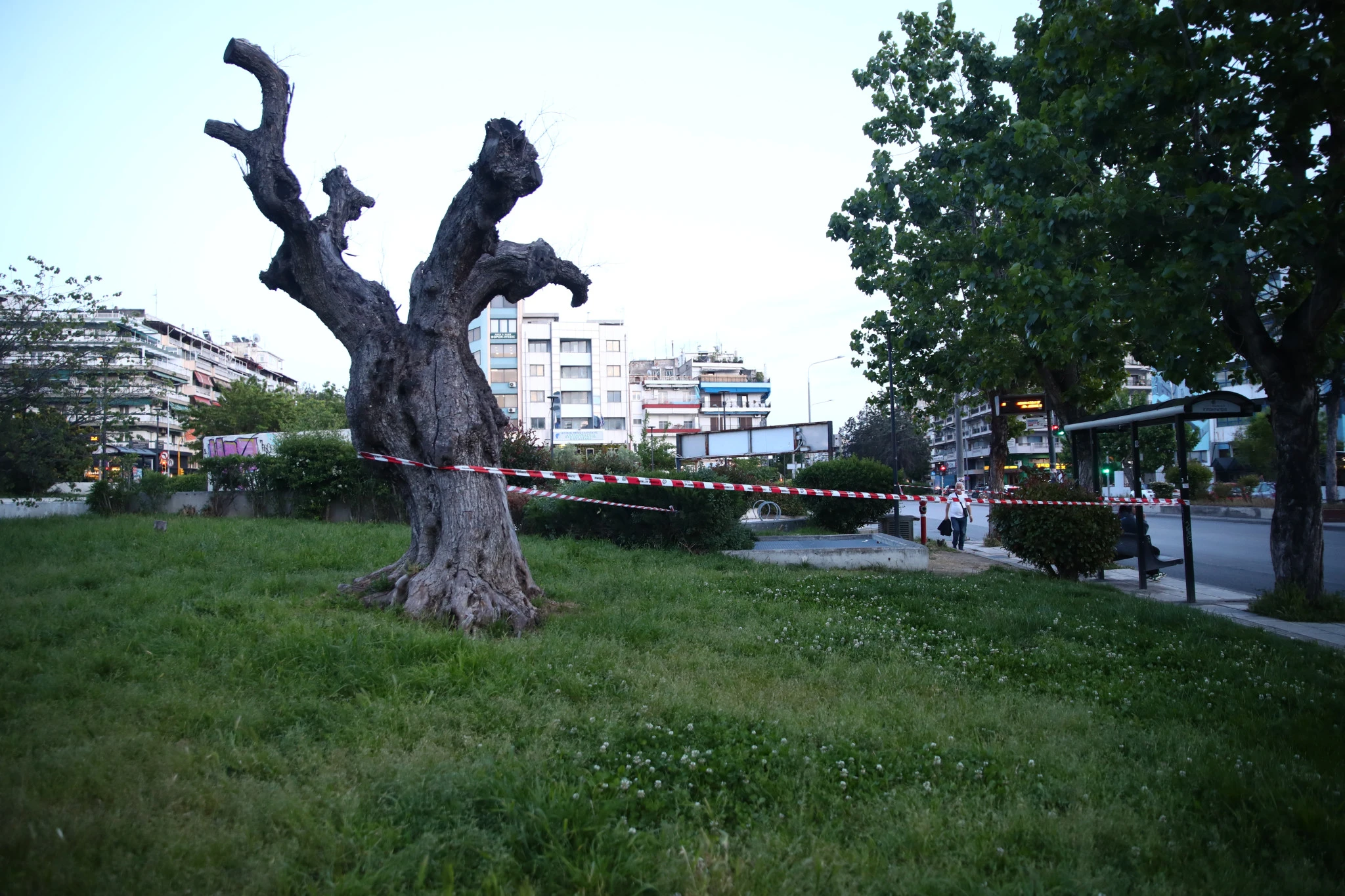freatio-soros-parking-3.jpg?v=0