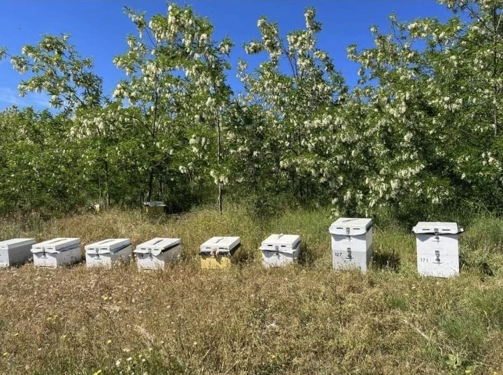 ΦΩΤΟ: Χρήστος Τσιάρας