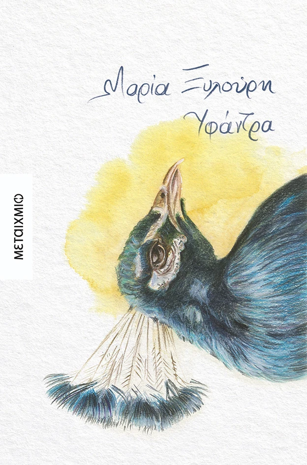 yfantra.jpg?v=0
