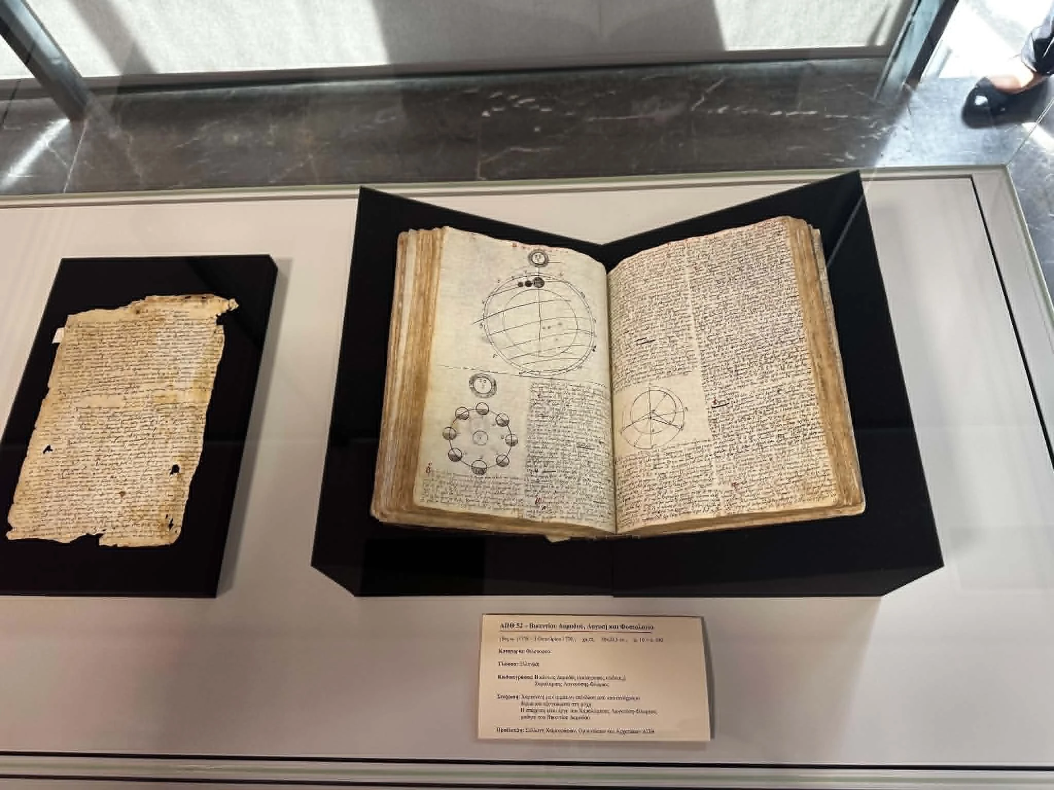 Βικεντίου Δαμόδου, Λογική και Φυσιολογία, 18ος αι. (1738 - 3 Οκτωβρίου 1739)
