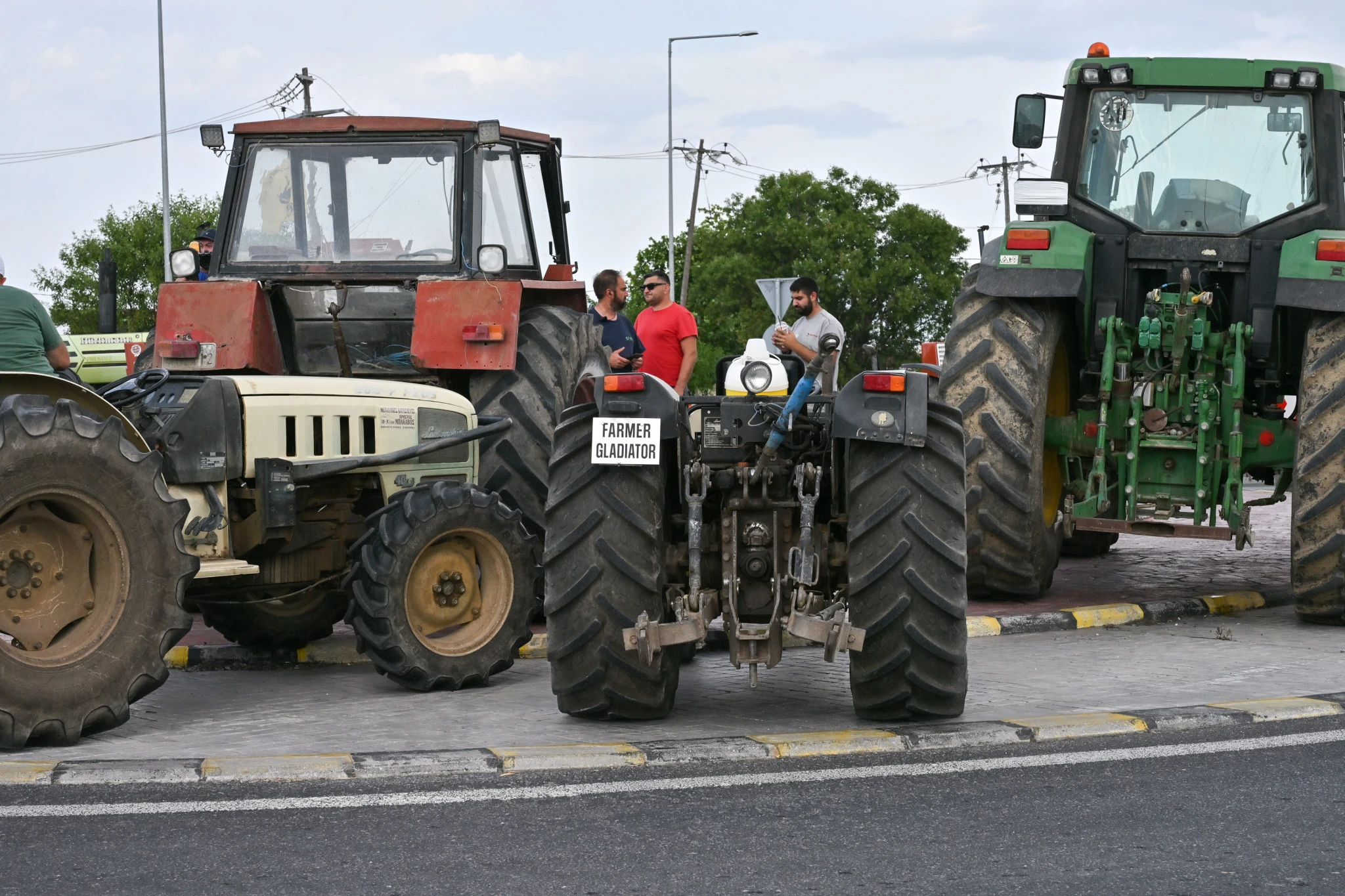 agrotes-larisa-2.jpg?v=0