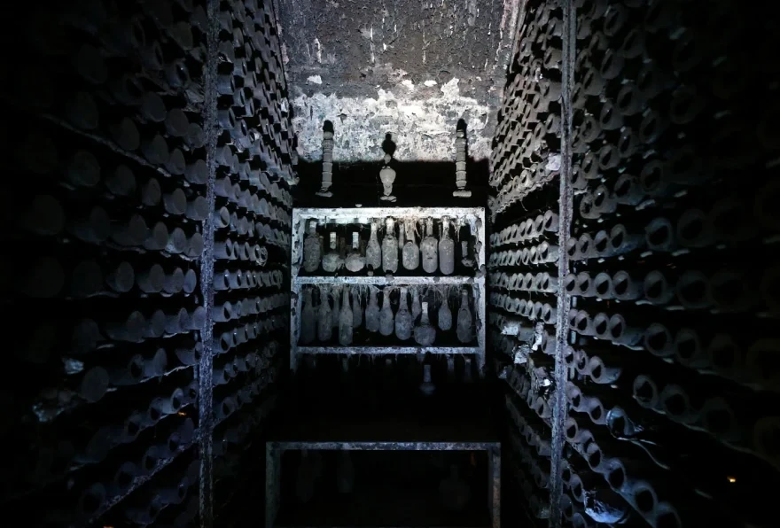 wine-4.webp