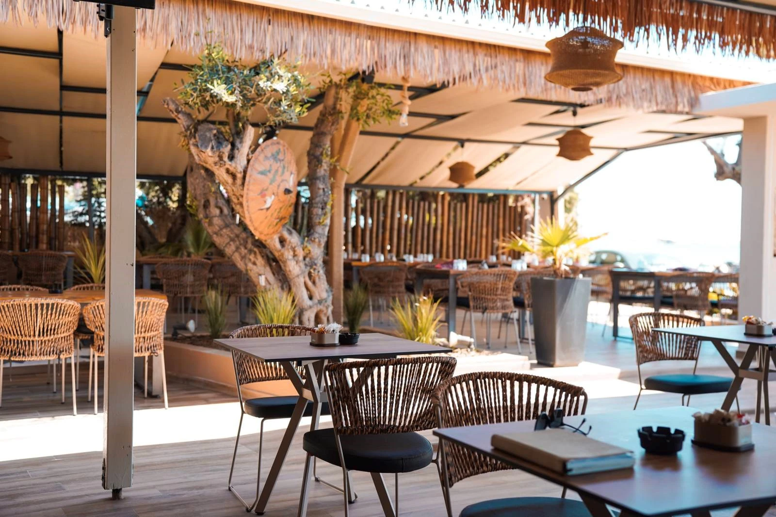 diamond-premium-beach-club-3.jpg?v=0