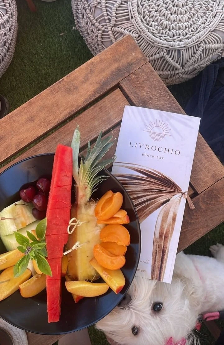 livrochio-8.jpg?v=0