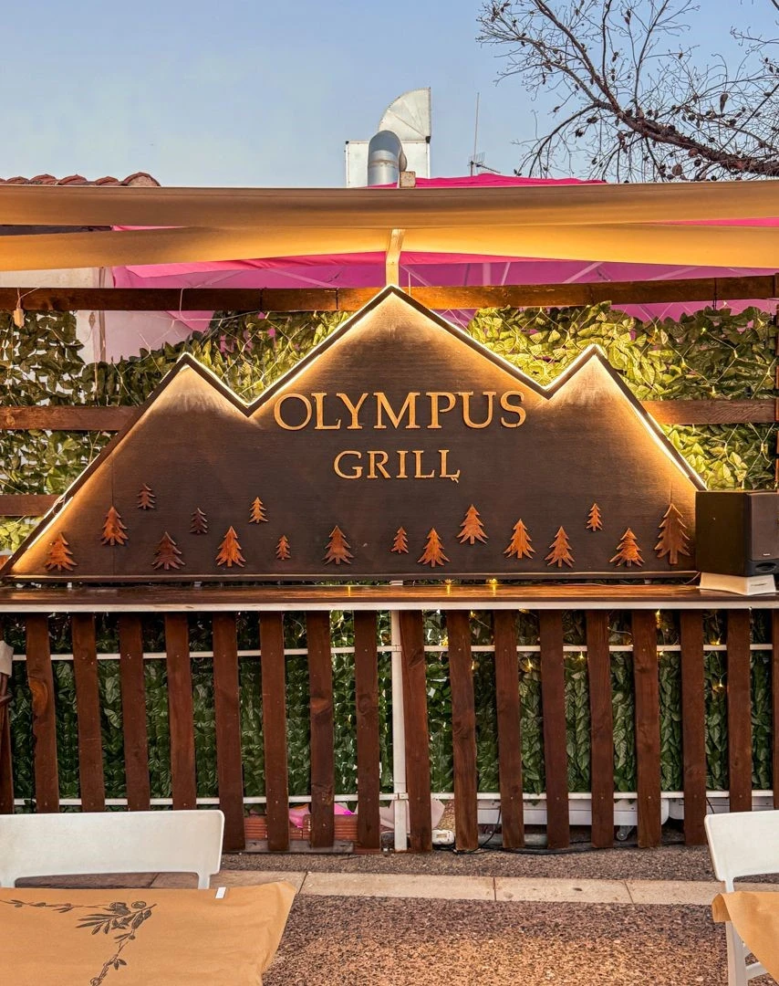 olympus-grill-21.jpg?v=0
