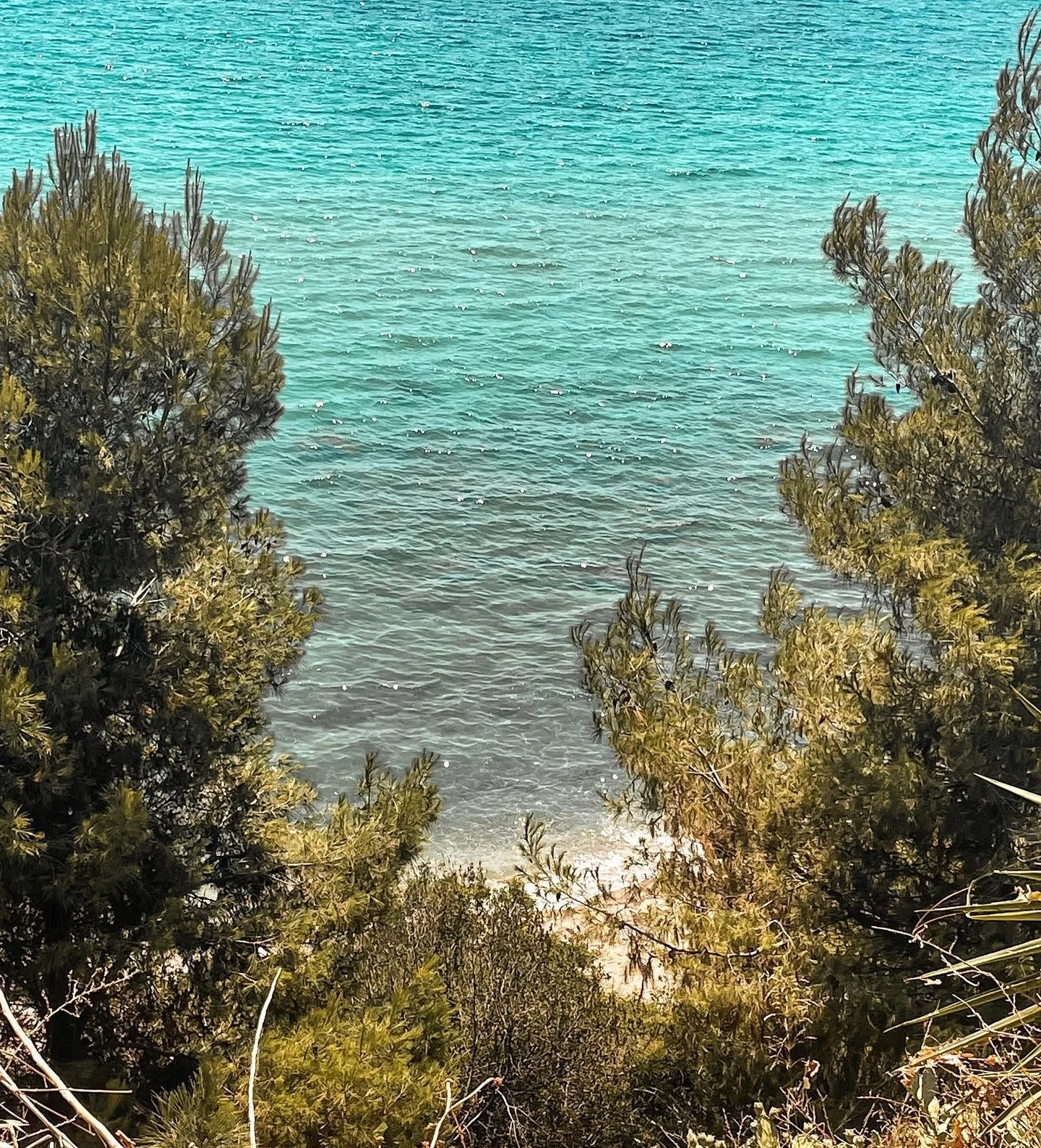 saint-george-avli-6.jpg?v=0